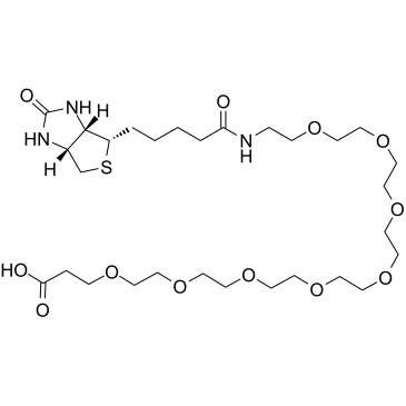 Biotin-PEG8-acid structure