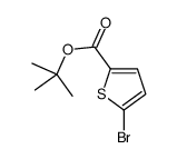 5-溴噻吩-2-羧酸叔丁酯结构式