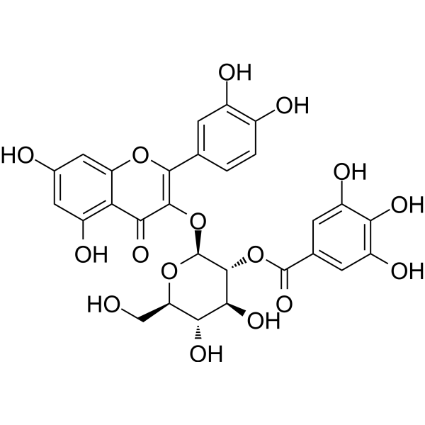 Quercetin-3-O-(2′′-O-galloyl)-β-D-glucopyranoside Structure