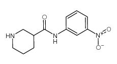 N-(3-硝基苯基)哌啶-3-甲酰胺结构式