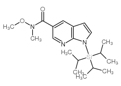 1-三异丙基硅烷-1H-吡咯并[2,3-b]吡啶-5-羧酸甲氧基甲酰胺图片