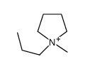 1-methyl-1-propylpyrrolidin-1-ium结构式