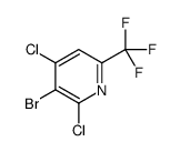 3-Bromo-2,4-dichloro-6-(trifluoromethyl)pyridine结构式