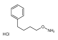 O-(4-phenylbutyl)hydroxylamine,hydrochloride Structure