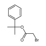 2-phenylpropan-2-yl 2-bromoacetate结构式