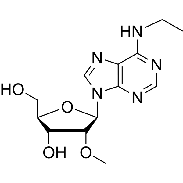 N6-Ethyl-2’-O-methyladenosine Structure