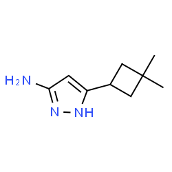5-(3,3-二甲基环丁基)-1H-吡唑-3-胺结构式