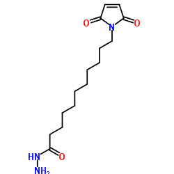 11-Maleimidoundecanoic acid hydrazide structure