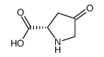 (S)-4-氧代吡咯烷-2-羧酸结构式