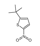 2-tert-butyl-5-nitrothiophene Structure