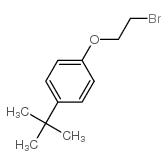 1-(2-溴乙氧基)-4-(叔丁基)苯结构式