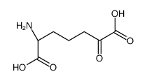alpha-amino-epsilon-keto-pimelic acid structure