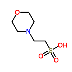 乙磺酸甲酯结构式