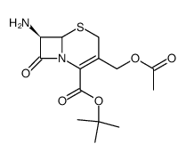 7-Aminocephalosporanic acid t-butyl ester结构式