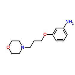 3-[3-(Morpholino)propoxy]benzenamine Structure
