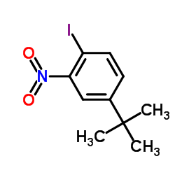 4-tert-Butyl-1-iodo-2-nitrobenzene结构式