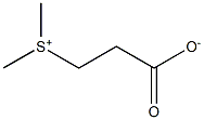 Dimethylpropiothetin Structure