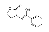 N-(2-oxooxolan-3-yl)pyridine-2-carboxamide Structure
