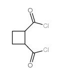cyclobutane-1,2-dicarbonyl dichloride结构式
