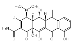 methacycline picture