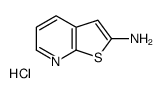 thieno[2,3-b]pyridin-2-amine hcl Structure