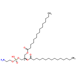 1,2-二十五碳酰基-sn-甘油-3-磷酸乙醇胺结构式