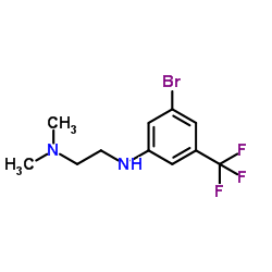 N1-(3-溴-5-(三氟甲基)苯基)-N2,N2-二甲基乙烷-1,2-二胺结构式