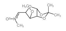 a-D-Xylofuranose,5-deoxy-3-O-methyl-1,2-O-(1-methylethylidene)-5-(methyloxidoimino)- Structure