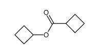 cyclobutanecarboxylic acid cyclobutyl ester Structure