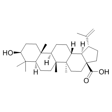 白桦脂酸结构式