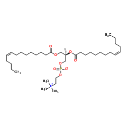 1,2-diMyristoleoyl-sn-glycero-3-phosphocholine Structure