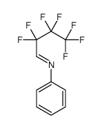 2,2,3,3,4,4,4-heptafluoro-N-phenylbutan-1-imine结构式