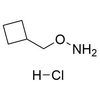O-(Cyclobutylmethyl)hydroxylamine hydrochloride Structure