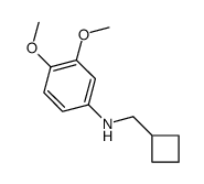 CYCLOBUTYLMETHYL-(3,4-DIMETHOXY-PHENYL)-AMINE Structure