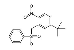 2-(benzenesulfonylmethyl)-4-tert-butyl-1-nitrobenzene Structure