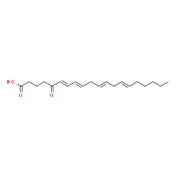 4-amino-3-S-glutathionylphenol Structure
