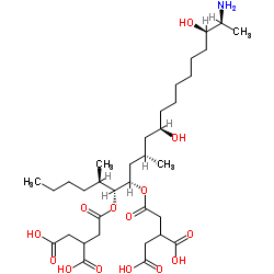 2-[[(5R,6R,7S,9S,11R,18R,19S)-19-amino-6-(3,4-dicarboxybutanoyloxy)-11 ,18-dihydroxy-5,9-dimethyl-icosan-7-yl]oxycarbonylmethyl]butanedioic a cid Structure