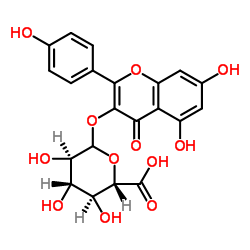 Kaempferol-3-beta-O-glucuronide Structure