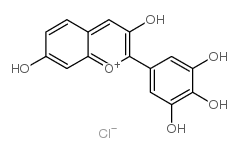 Robinetinidin chloride Structure