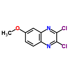 2,3-二氯-6-甲氧基喹喔啉结构式