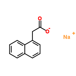 sodium 1-naphthaleneacetate Structure