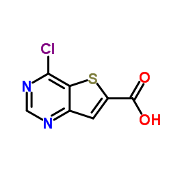 4-氯-噻吩并[3,2-d]嘧啶-6-羧酸图片