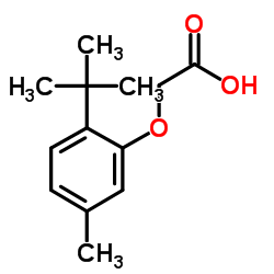 (2-tert-butyl-5-methylphenoxy)acetic acid结构式