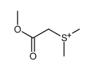 (2-methoxy-2-oxoethyl)-dimethylsulfanium Structure