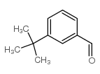 3-叔丁基苯甲醛结构式