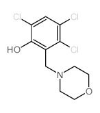 Phenol,3,4,6-trichloro-2-(4-morpholinylmethyl)- Structure