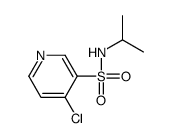 4-chloro-N-propan-2-ylpyridine-3-sulfonamide结构式