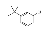 3-叔丁基-5-氯甲苯结构式