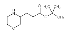 3-吗啉-3-丙酸叔丁酯结构式