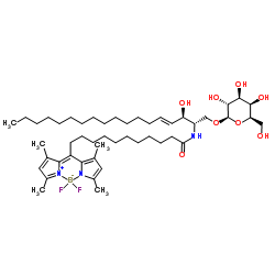 N-[11-(二氟亚甲基二硼化硼)十一烷酰基] -D-半乳糖基-ß1-1'-D-赤型-鞘氨醇结构式